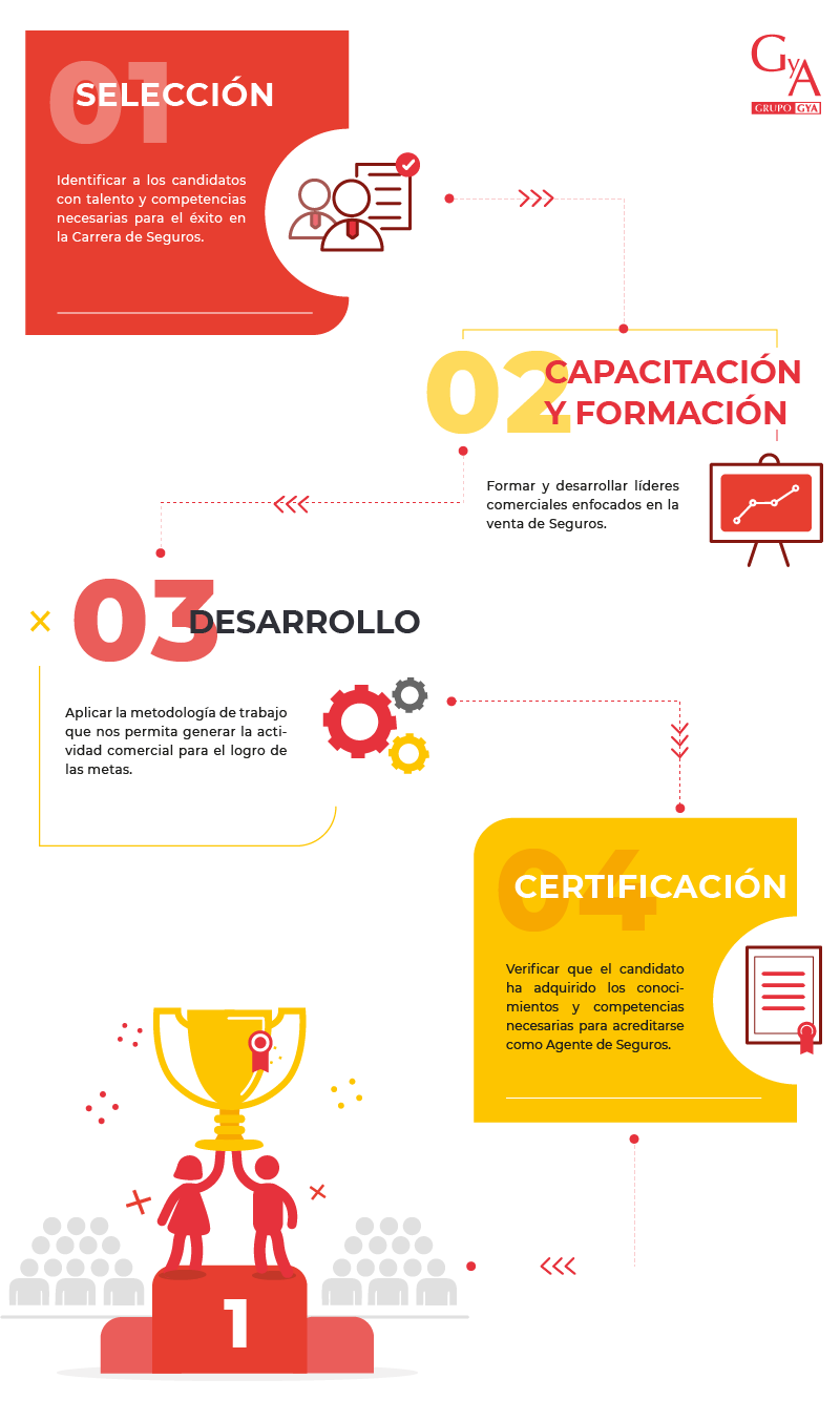 Proceso de Selección y Desarrollo